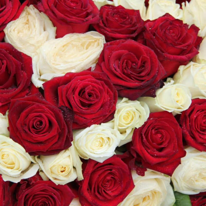 Red,And,White,Roses,In,A,Floral,Wedding,Centerpiece