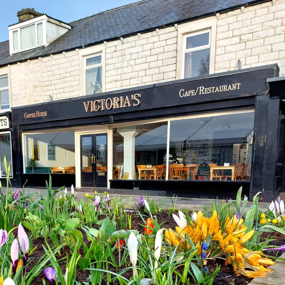 photo of Victorias of Barnoldswick frontage with crocus flowers square