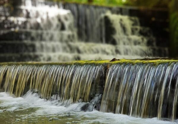 valley-gardens-routes-to-school-waterfall-closeup